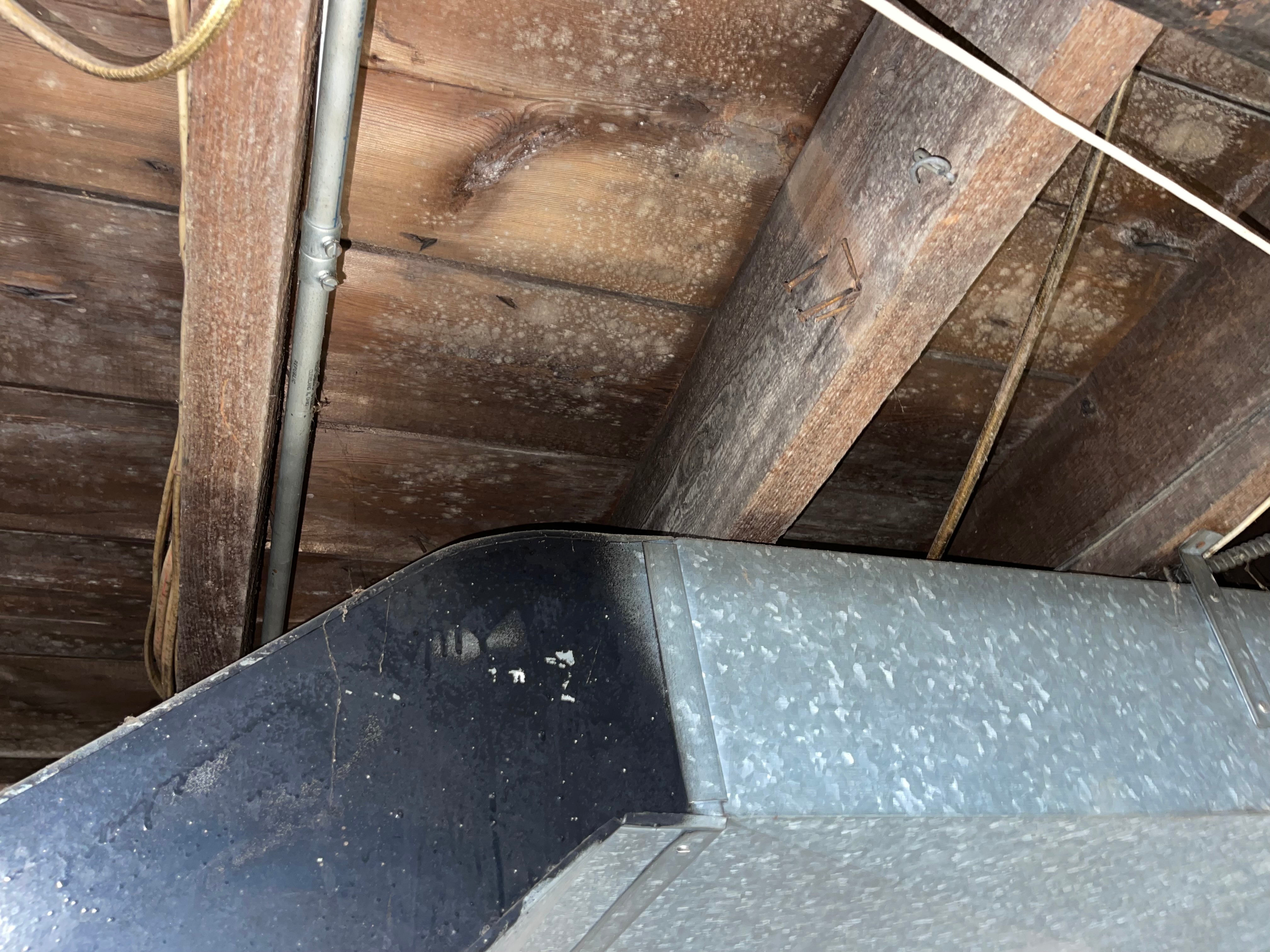 Mold remediation work 2