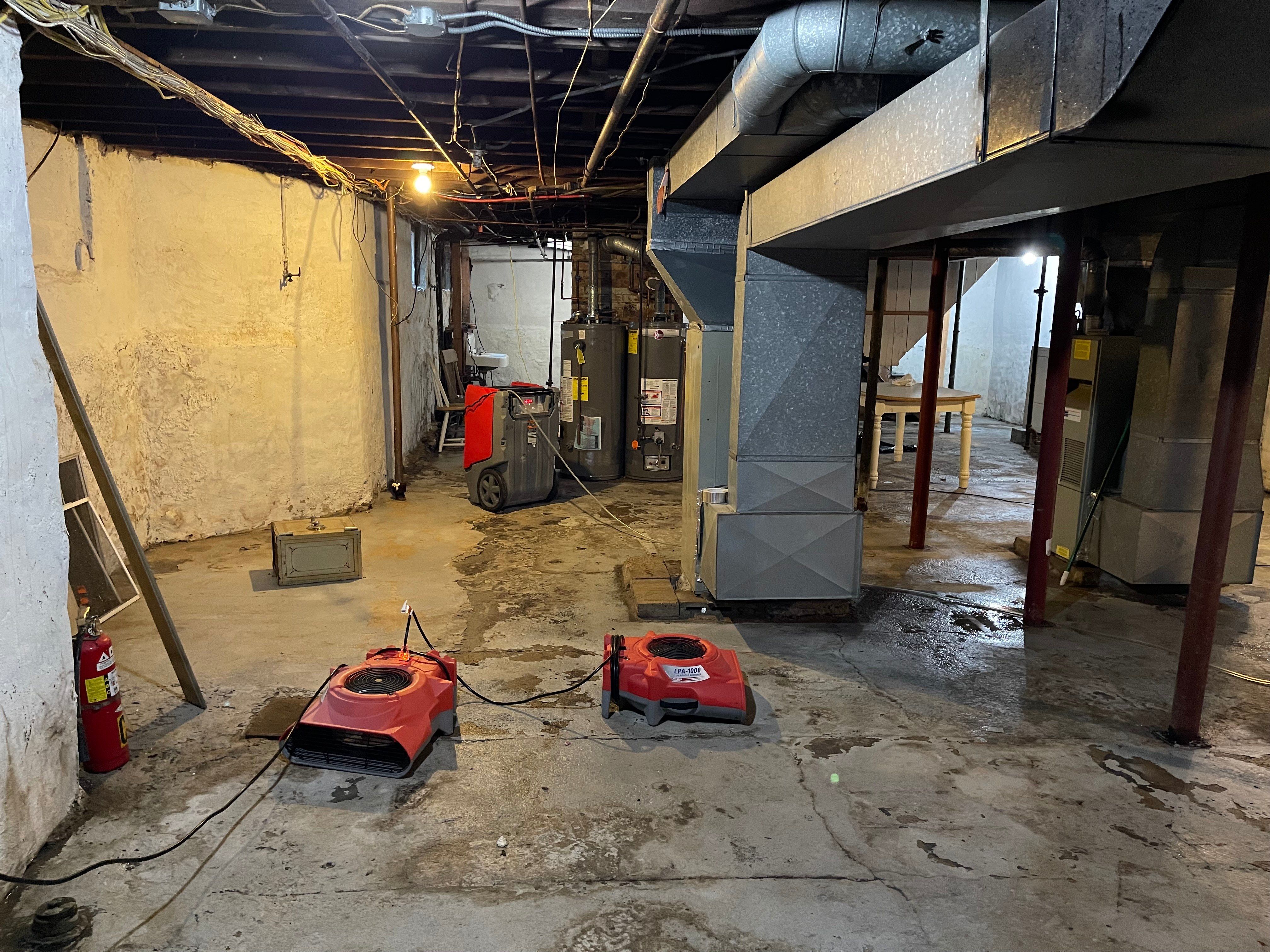 Mold remediation work 4